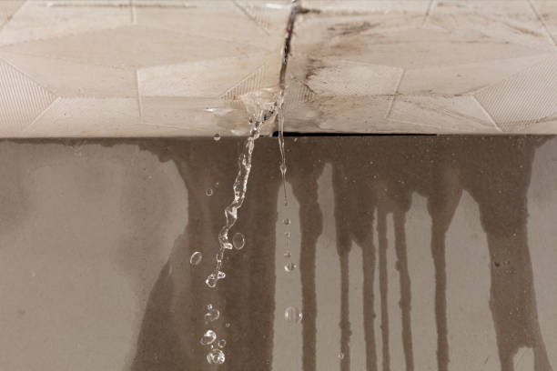 Professional Burst Pipe Cleanup technician working in Turtle Creek, WV